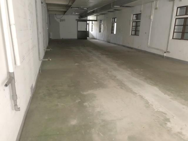桃園區廠房-0