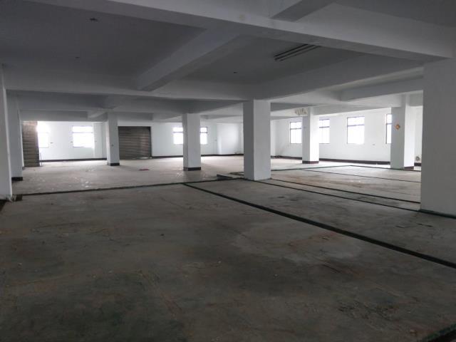 桃園區廠房-2