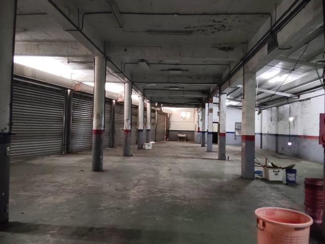 新竹竹北廠房-1