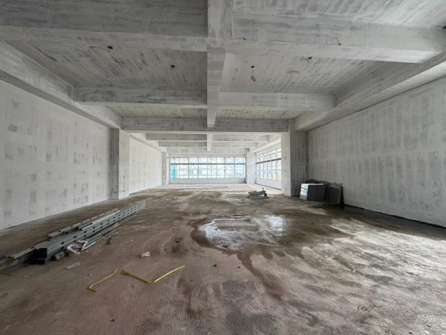 新竹湖口廠房-1