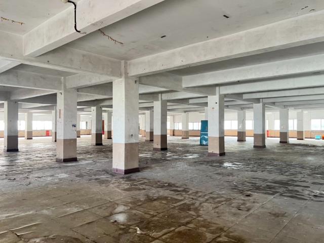 桃園中壢廠房-1
