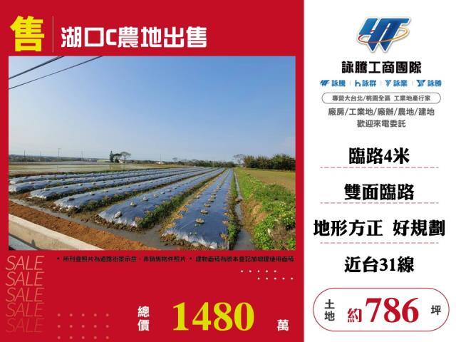 新竹湖口農地-0