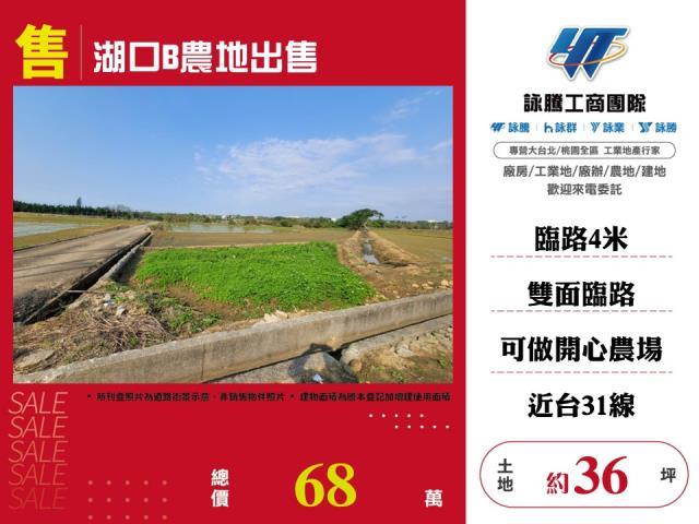 新竹湖口農地-0