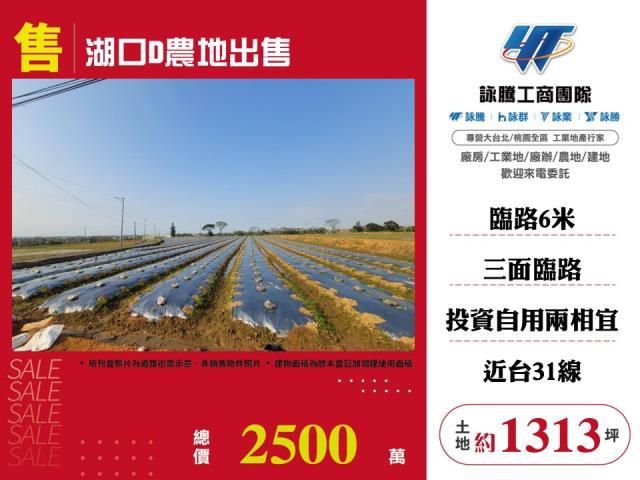 新竹湖口農地-0