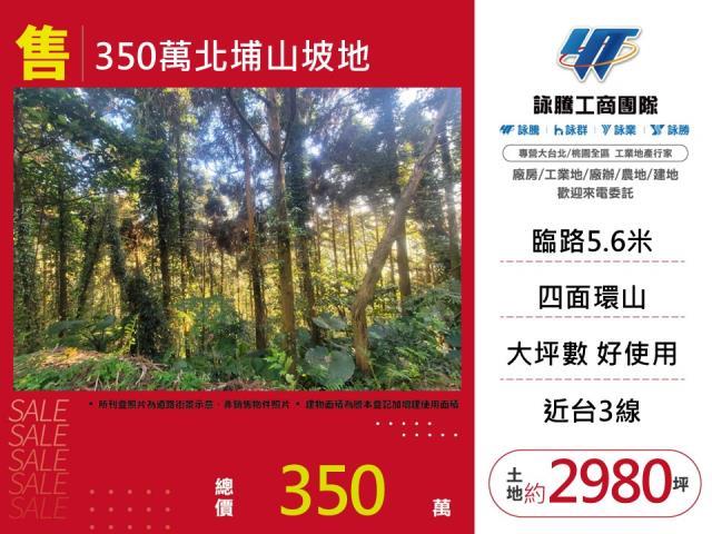 新竹北埔山坡地-0